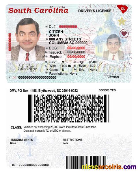 USA South Carolina state driving license (2020 – present)